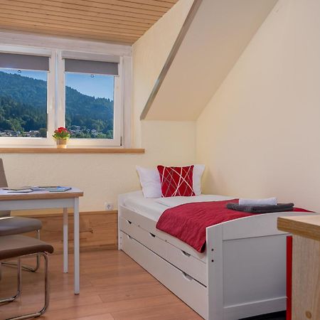 Pension Bayerwald Mit Ferienwohnung Bodenmais Exterior foto